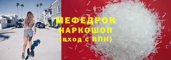 индика Арсеньев