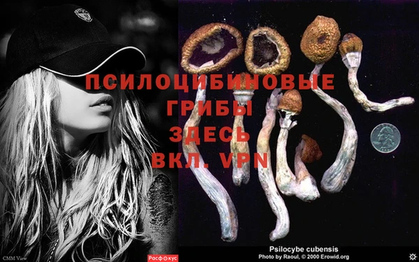 2c-b Армянск