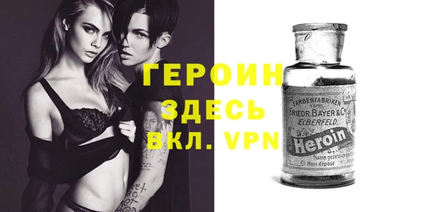 индика Арсеньев