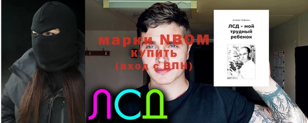 индика Арсеньев
