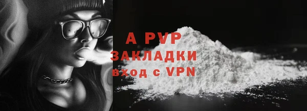 индика Арсеньев