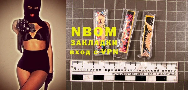 индика Арсеньев