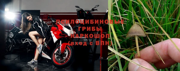 индика Арсеньев