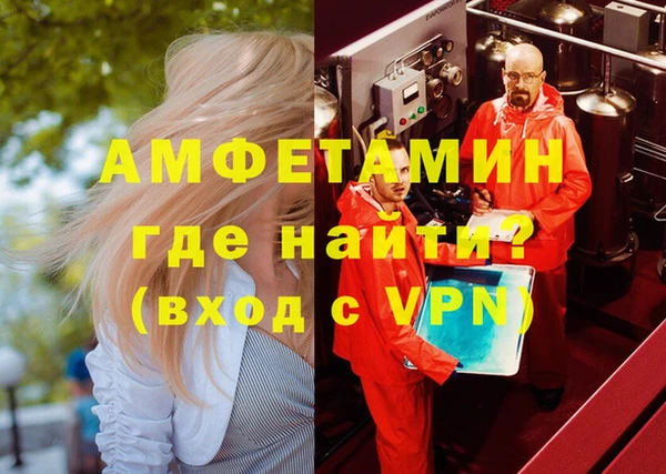 индика Арсеньев
