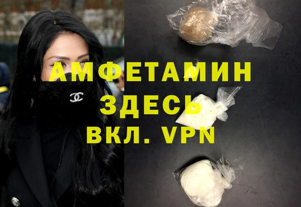 индика Арсеньев