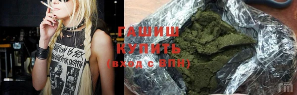 индика Арсеньев