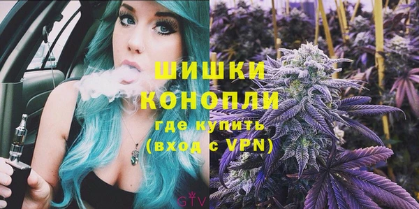 индика Арсеньев
